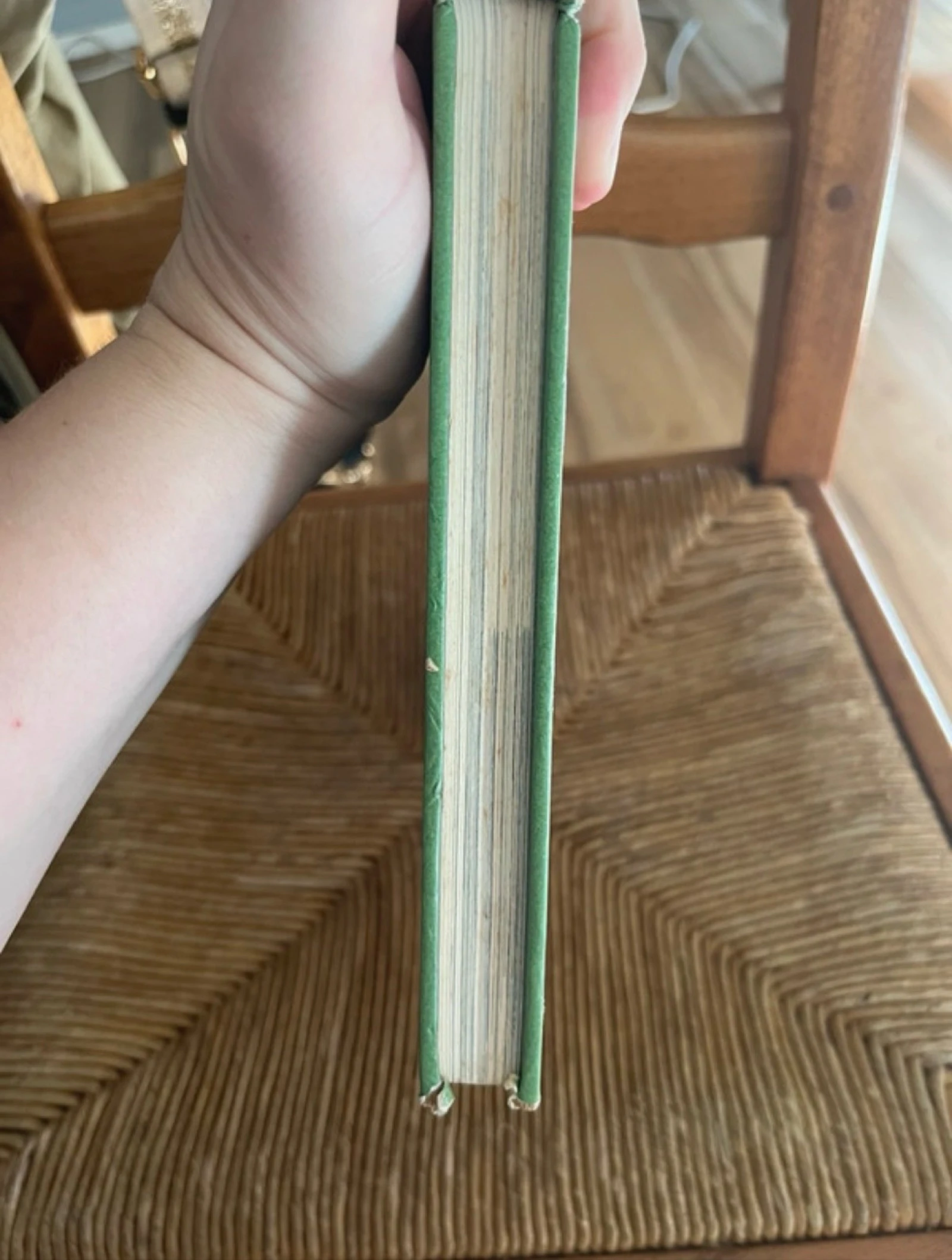 Libro Disney Secretos de la naturaleza El mundo encantado – photo 6